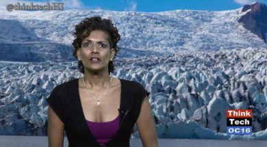 A-Commentary-on-Climate-Change-in-the-Arctic-by-Anukriti-Hittle-attachment