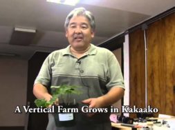 A-Vertical-Farm-Grows-in-Kakaako-attachment