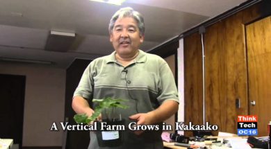 A-Vertical-Farm-Grows-in-Kakaako-attachment
