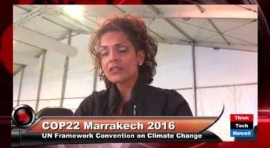 COP22-Coverage-November-15th-2016-attachment