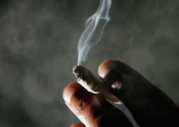 Cannabis-Insider-Smoking-Marijuana-in-Condos-Philip-Nerney-attachment
