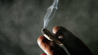 Cannabis-Insider-Smoking-Marijuana-in-Condos-Philip-Nerney-attachment