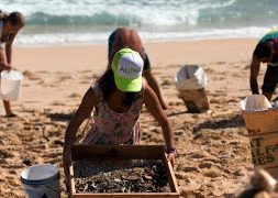 Cleaning-Hawaiis-Beaches-A-Call-for-Conservation-on-World-Oceans-Day-Kahi-Pacarro-attachment