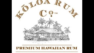 Commerce-on-Kauai-Bob-Gunter-Mark-Perriello-attachment