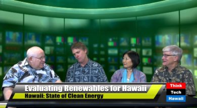Evaluating-Renewables-for-Hawaii-with-Joel-Swisher-attachment