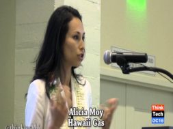 Hawaii-Clean-Energy-Day-2014-Getting-Our-Act-Together-attachment