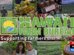Hawaii-Farm-Bureau-attachment