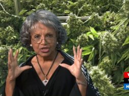 Hemp-and-Hawaii-Bioeconomy-Cannabis-Chronicles-attachment