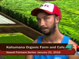 Kahumana-Organic-Farm-and-Cafe-Christian-Zuckerman-and-Kelii-Gannet-attachment