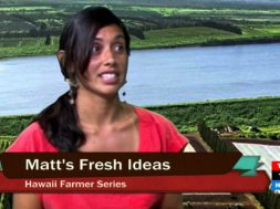 Matts-Oahu-Fresh-Ideas-attachment