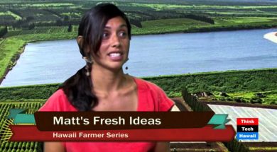 Matts-Oahu-Fresh-Ideas-attachment