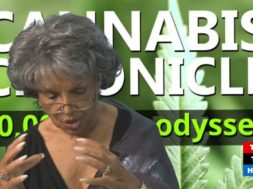Opioid-Crisis-and-Medical-Cannabis-Cannabis-Chronicles-A-10000-Year-Odyssey-attachment