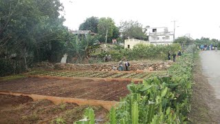 Permaculture-Cuba-and-the-IUCN-attachment