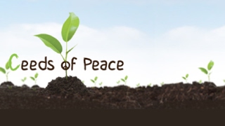 Planting-Seeds-of-Change-with-Ceeds-of-Peace-attachment