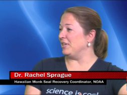 Saving-Seals-with-Dr.-Rachel-Sprague-attachment