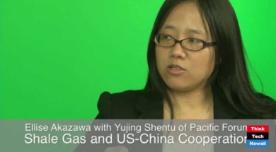 Shale-Gas-and-US-China-Cooperation-with-Yujing-Shentu-attachment