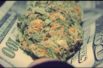 The-Cannabis-Economy-and-Tax-Reform-A-Quarterly-Commentary-with-Steve-Pingree-attachment