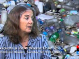 Towards-a-Zero-Waste-Economy-Jennifer-Milholen-and-Nicole-Chatterson-attachment