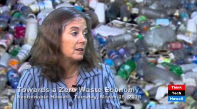 Towards-a-Zero-Waste-Economy-Jennifer-Milholen-and-Nicole-Chatterson-attachment