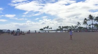 Viva-Waikiki-The-Wonderful-World-of-Waikiki-attachment
