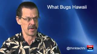 What-Bugs-Hawaii-Dr.-Daniel-Rubinoff-attachment