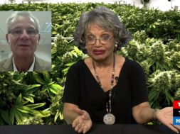 Cannabis-Talk-Story-on-Hawaii-Island-Cannabis-Chronicles-attachment