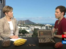 Chocolate-Hawaiian-Style-Adventures-In-Small-Business-attachment
