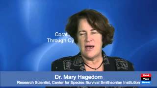 Coral-Conservation-through-Cyropreservation-Dr.-Mary-Hagedorn-attachment