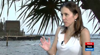 Groundwater-and-Geothermal-Discoveries-in-Hawaii-with-Nicole-Lautze-attachment
