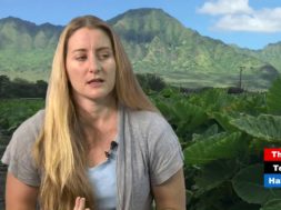 Mailiili-Musings-Sustainable-Agriculture-in-Waianae-Hawaii-Food-And-Farmer-attachment