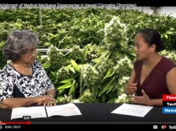 The-Establishment-of-Medical-Marijuana-Dispensaries-in-Hawaii-Cannabis-Chronicles-attachment
