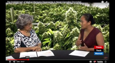 The-Establishment-of-Medical-Marijuana-Dispensaries-in-Hawaii-Cannabis-Chronicles-attachment