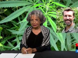Hemp-from-seed-to-major-industry-in-Hawaii-Cannabis-Chronicles-attachment