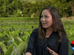 Mana-Up-Taking-Hawaii-Food-Products-to-Market-Hawaii-Food-and-Farmer-Series-attachment