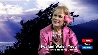 The-Healing-Garden-Taking-Your-Health-Back-attachment