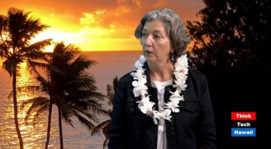 A-sit-down-with-Hawaii-State-Senator-Laura-H.-Thielen-Finding-Respect-In-The-Chaos-attachment