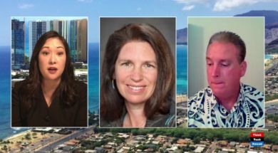 The-Small-Business-Regulatory-Review-Board-Business-In-Hawaii-attachment