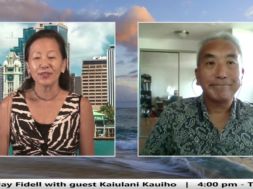 Second-Life-in-Hawaii-Drone-School-Business-Konnichiwa-Hawaii-attachment