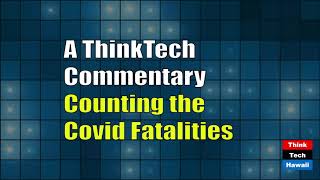 Counting-the-Covid-Fatalities-Commentary-attachment