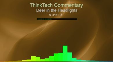 Commentary-Deer-in-the-Headlights-attachment