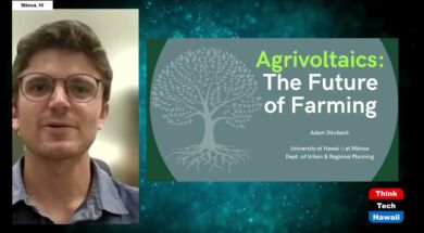 Agrivoltaics-Hawaii-State-Of-Clean-Energy-attachment